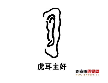 虎耳面相|蘇民峰面相耳朵形狀看命運